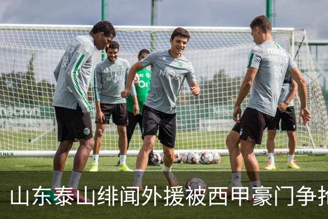 山东泰山绯闻外援被西甲豪门争抢，夏窗换外援的希望又落空